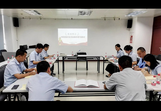 珠海龙狮瓶盖公司党支部召开专题组织生活会 集中学习研讨