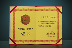 广东省五一劳响奖状证书