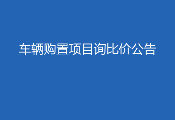 珠海经济特区龙狮瓶盖有限公司车辆购置项目询比价公告