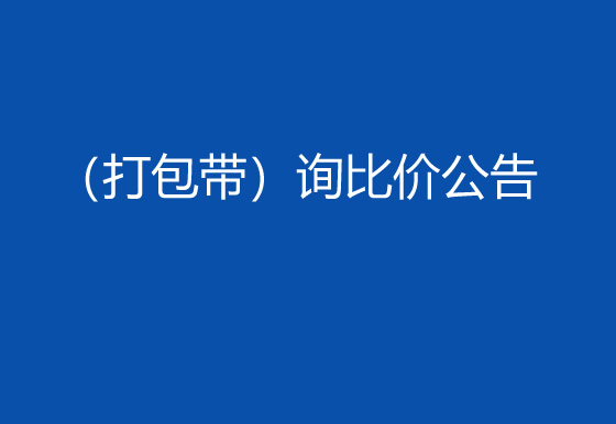 珠海经济特区龙狮瓶盖有限公司采购包辅材料项目（打包带）询比价公告