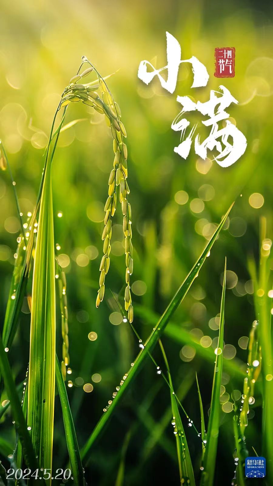 微信图片_20240520173054.jpg