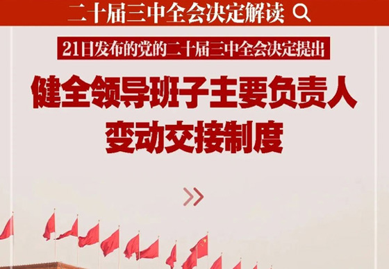 新华社播发系列解读（十四）| 深入阐释党的二十届三中全会决定