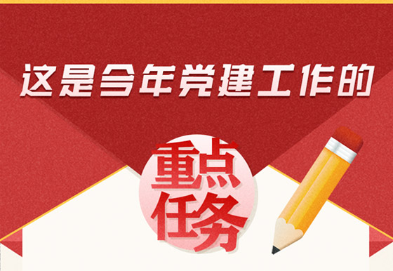 这是今年党建工作的重点任务